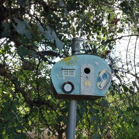 Malhao  Monte Papa Figosヴィラ エクステリア 写真