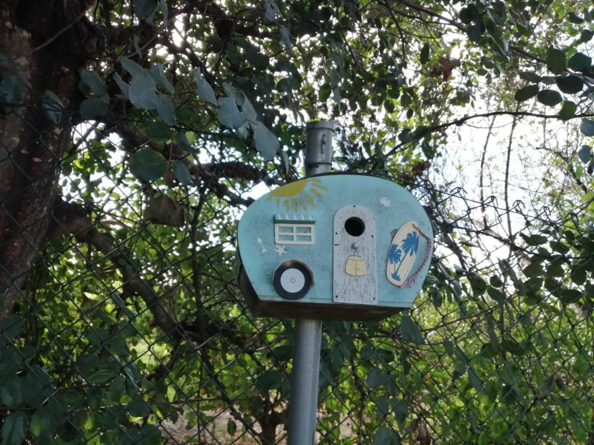 Malhao  Monte Papa Figosヴィラ エクステリア 写真